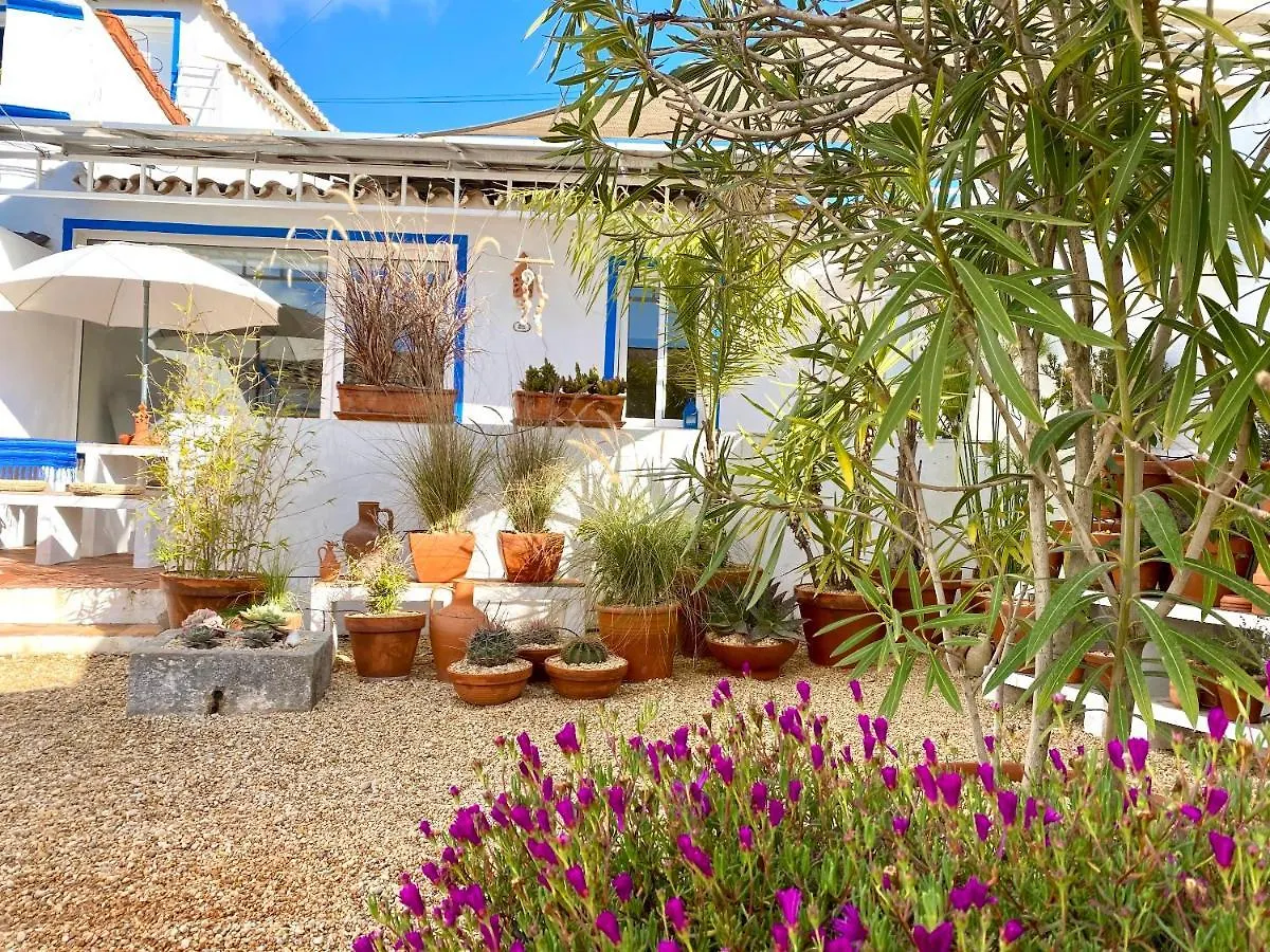 Casa Da Aldeia Apartment Santa Barbara de Nexe Holiday home