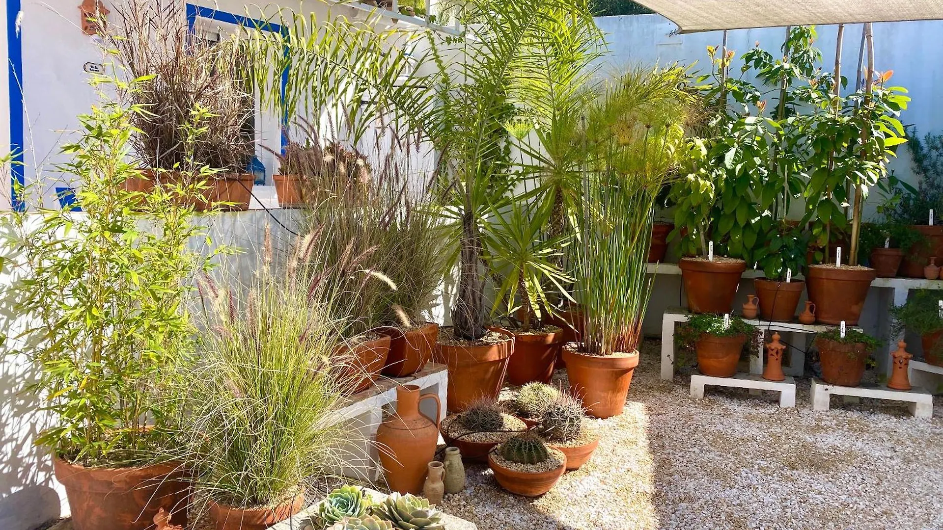 Holiday home Casa Da Aldeia Apartment Santa Barbara de Nexe